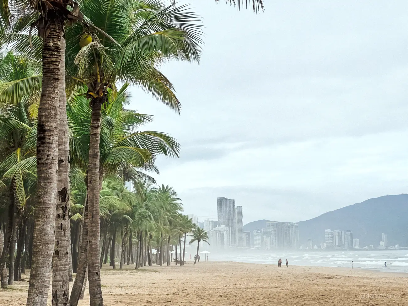 Da Nang Beach, palm trees and big buildings